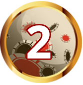 Net4fun Step 2 Image